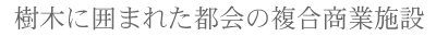 �����s�V�_�ɂ���G���{�@���؂Ɉ͂܂ꂽ�@�s��̋�ԁ@�������Ǝ{��